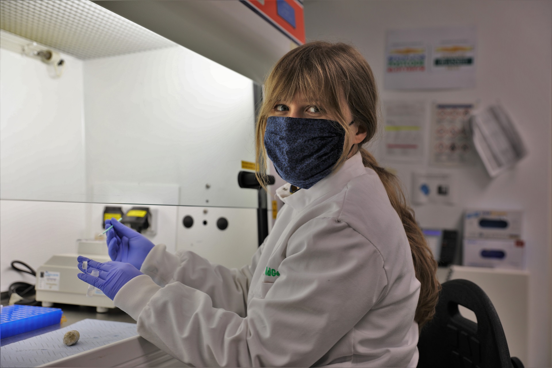 Magdalena Butowska WildGenes technician in the lab

IMAGE: Laura Daniels